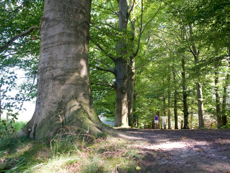 Foto 11 bij Landgoed De Hoevens