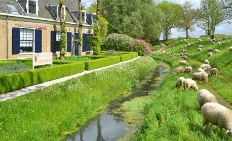 Foto 1 bij De Rozenhof