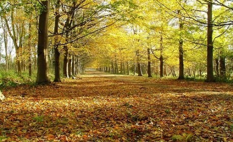 Foto 4 bij Badhotel Renesse