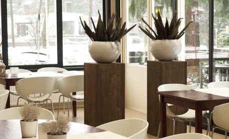 Foto 6 bij Wildthout