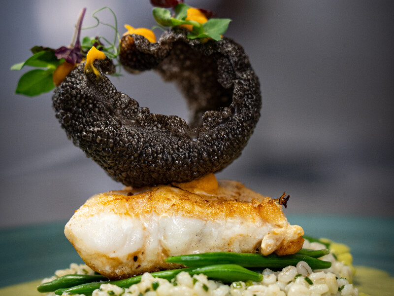 Foto 3 bij Landgoed De Uitkijk